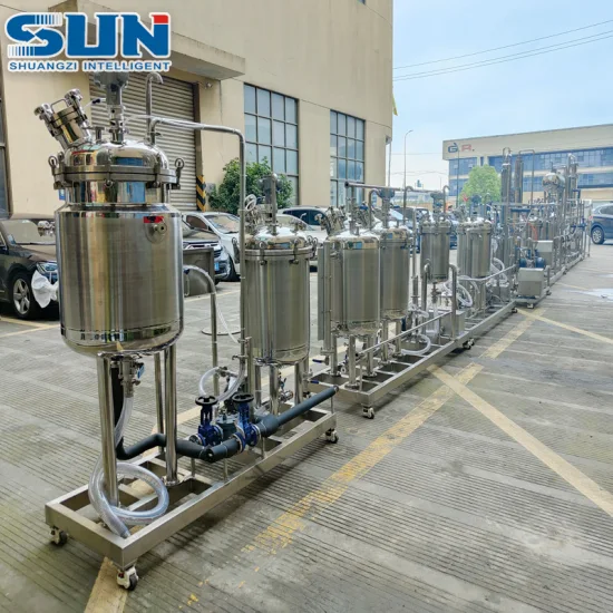 Small Laboratory Stainless Steel Plant Extraction Machine Stevia Fruit Extract Equipment Extractor for Powder Form
